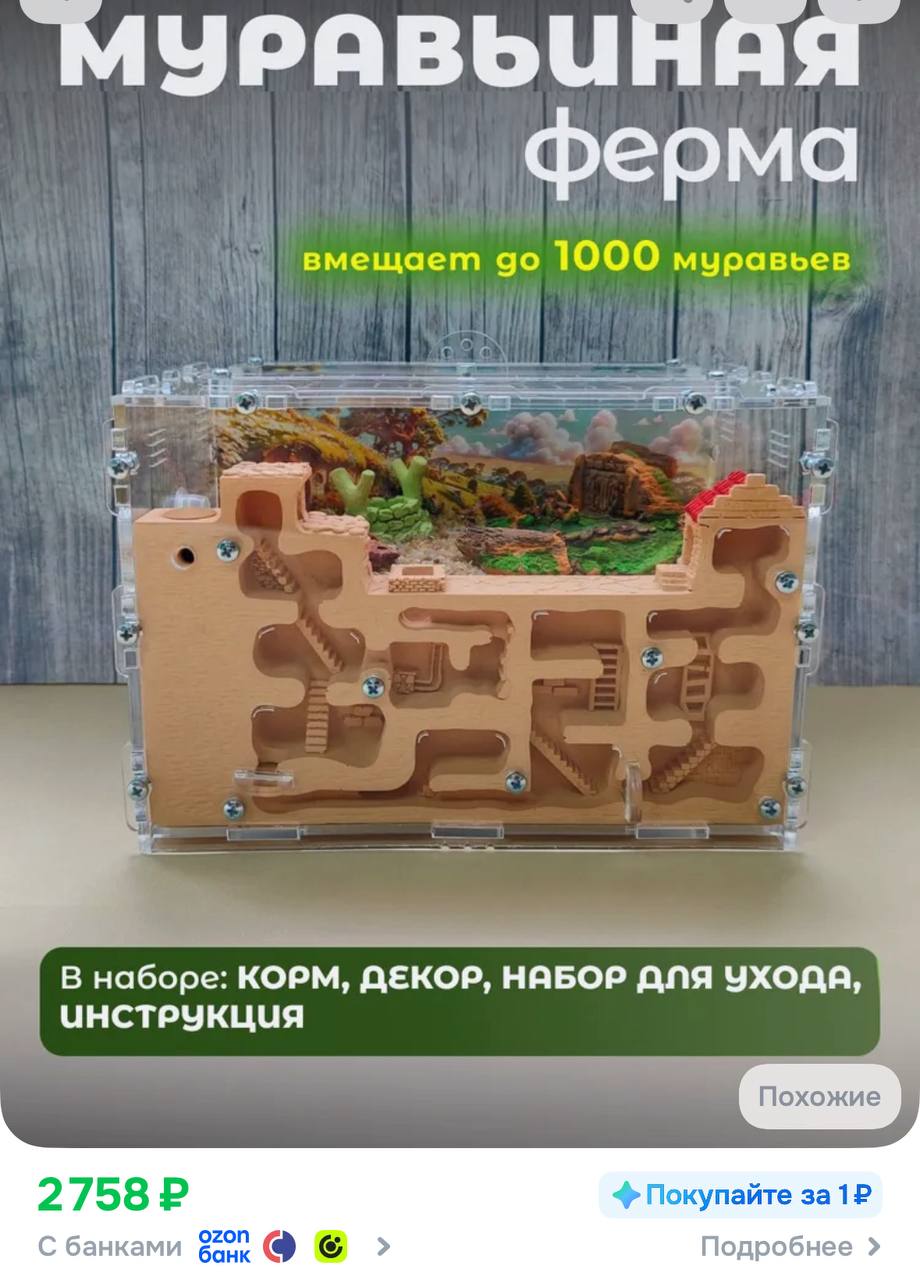 Фото из объявления